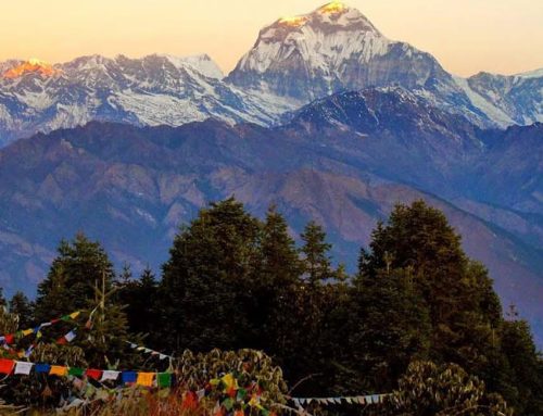 POON HILL, the terrace on the himalayas