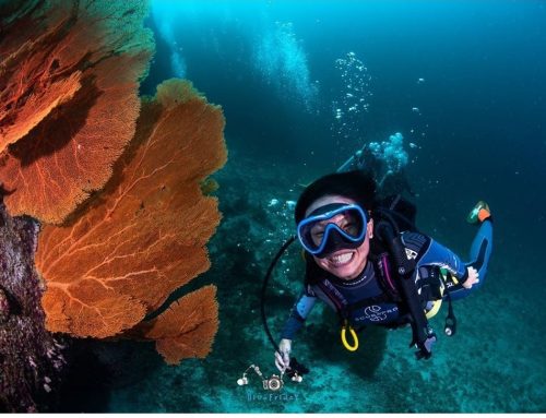 EXTRAORDINARY LIVES: 3 years around the world, NERISA’s dream.